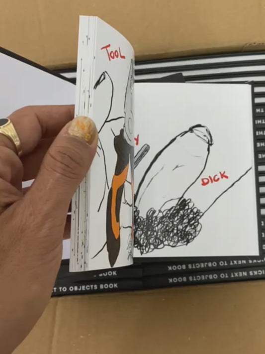 The Dicks Next To Objects Book
